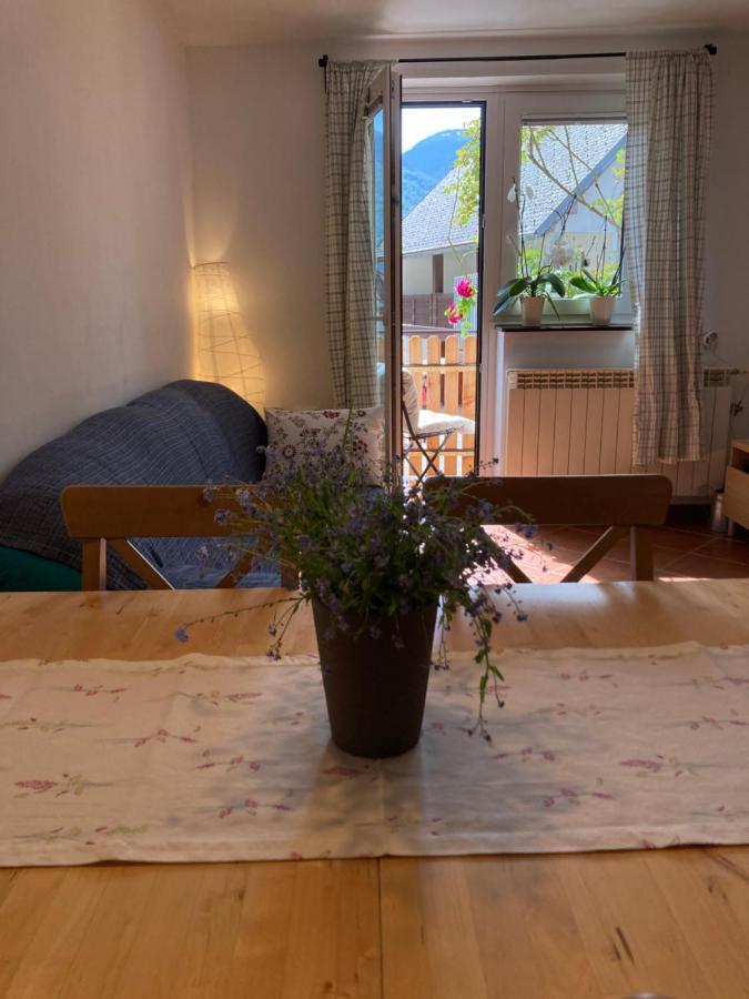 בובק Holiday Home Kristi מראה חיצוני תמונה