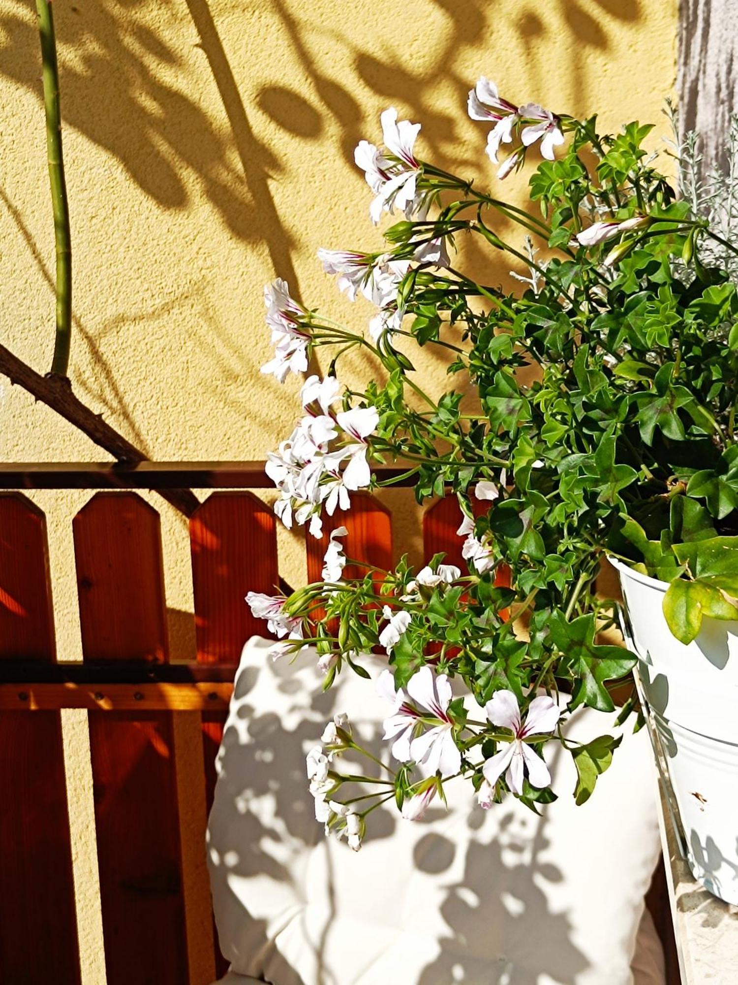 בובק Holiday Home Kristi מראה חיצוני תמונה
